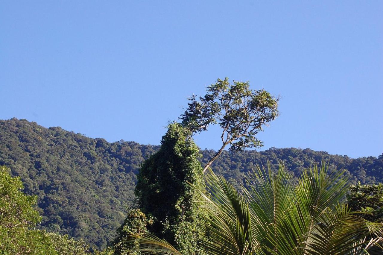 Pousada Toca Da Anita Maresias Sao Sebastiao  Exterior foto