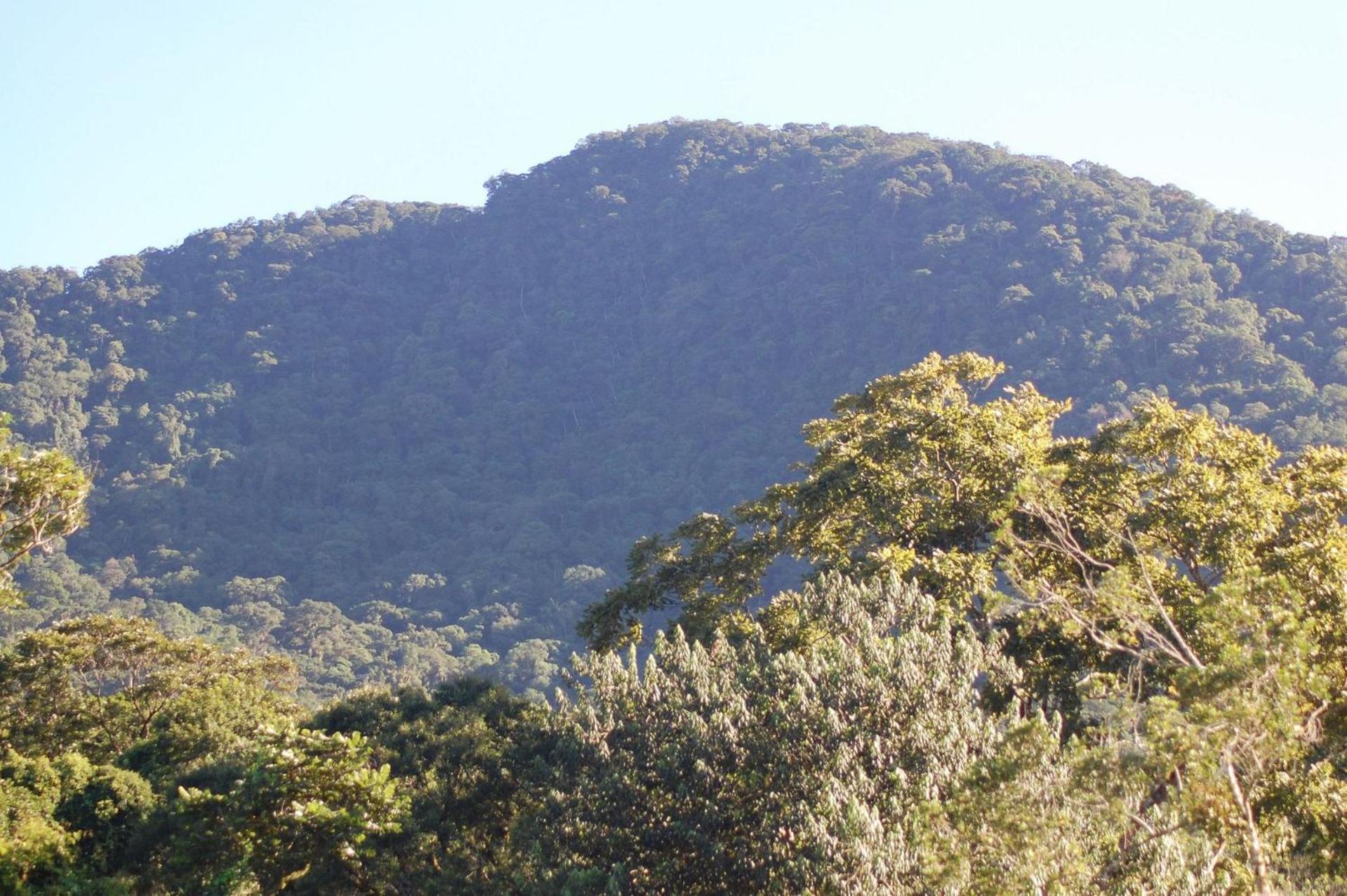 Pousada Toca Da Anita Maresias Sao Sebastiao  Exterior foto